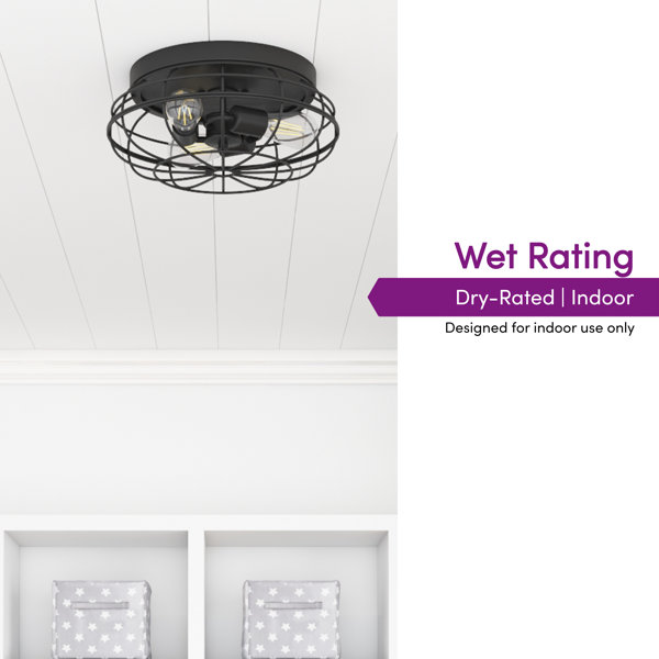 17 Stories Edgeley Matte Black Industrial Flush Mount Light with Cage